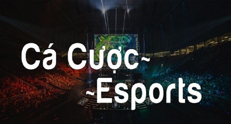 Khái quát về cá cược esport